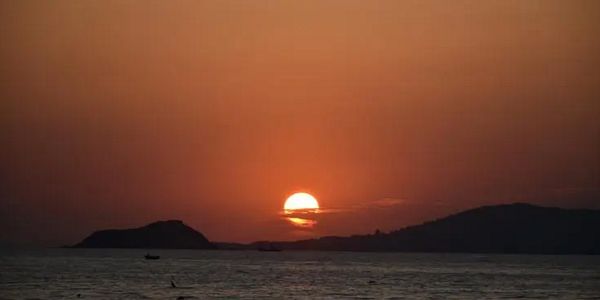 润滑油展会上,为何几乎没有国际品牌?