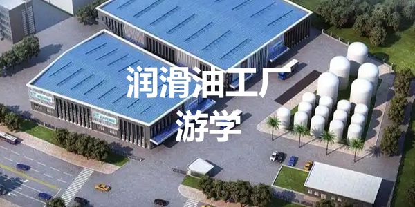 反思:润滑油品牌峰会面临的挑战与应对